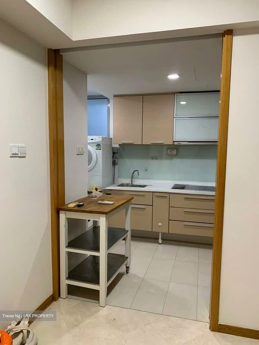 8 @ Mount Sophia (D9), Condominium #585498451